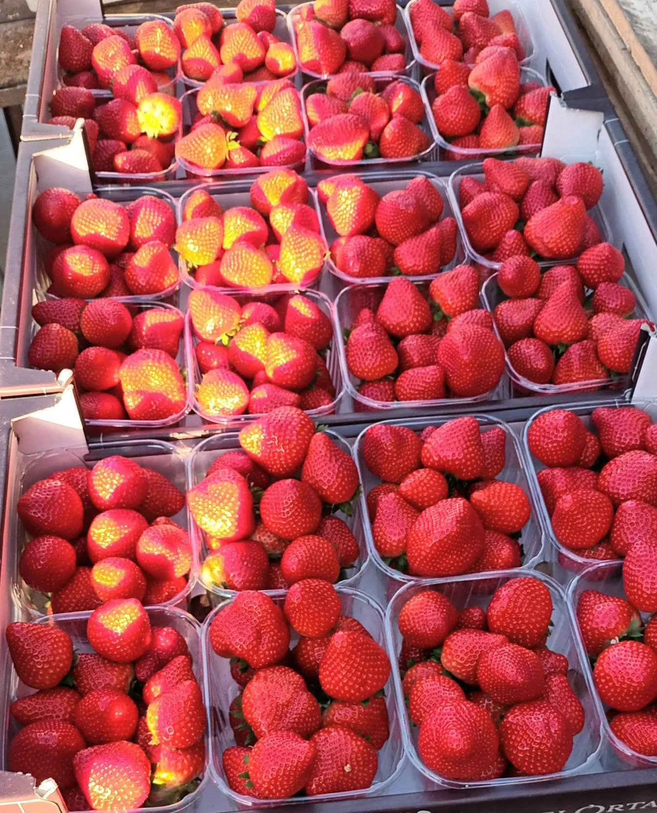 Bakjes kraakverse aardbeien