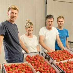 Stijn en Stef Weckx met hun ouders bij de bakken vers geplukte aardbeien